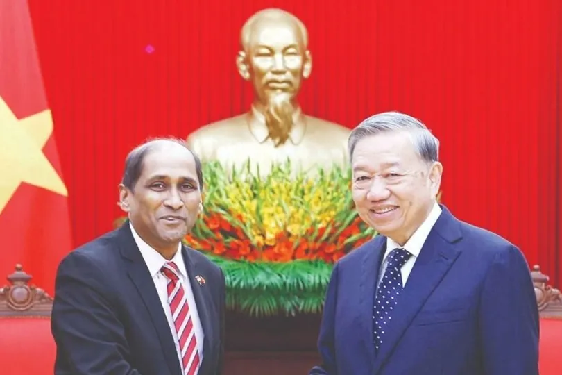 Tổng Bí thư Tô Lâm tiếp Đại sứ Singapore tại Việt Nam