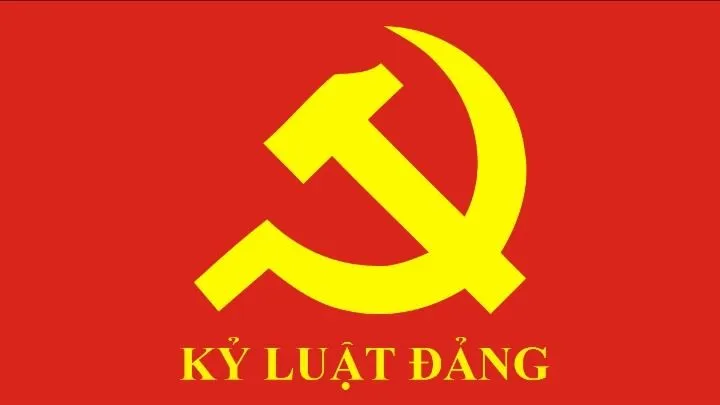 Bộ Chính trị, Ban Bí thư kỷ luật tổ chức đảng và đảng viên vi phạm