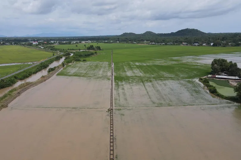 Các địa phương ở TPHCM khẩn trương khắc phục thiệt hại do mưa lớn và xả lũ