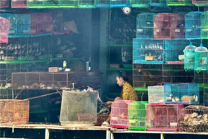 Chim hoang dã bày bán tràn lan tại chợ nông sản ở vùng Đồng Tháp Mười