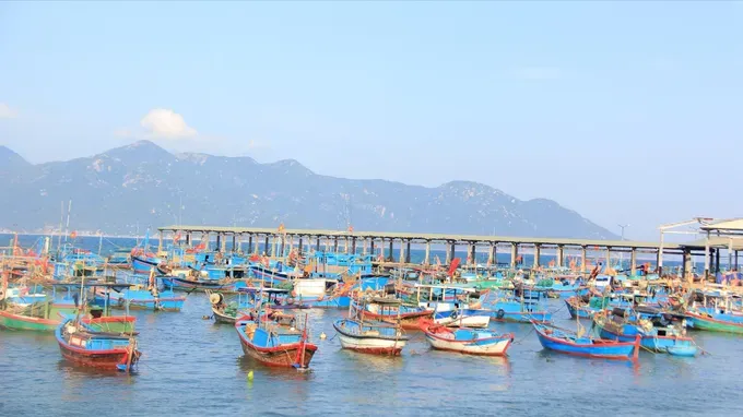 100% số tàu cá được đăng ký trên VNFishbase