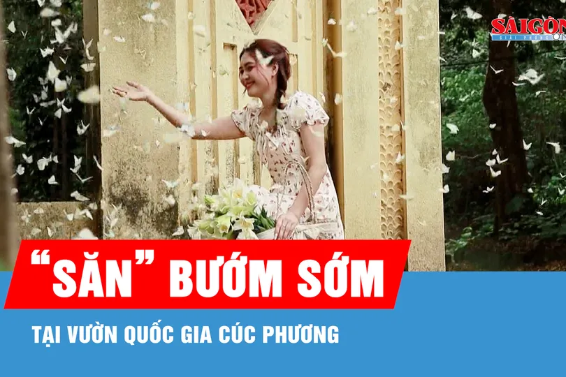Du khách thích thú săn mùa bướm đến sớm ở Cúc Phương