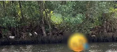 Cà Mau: Công an xác minh thi thể trẻ sơ sinh nổi trên sông