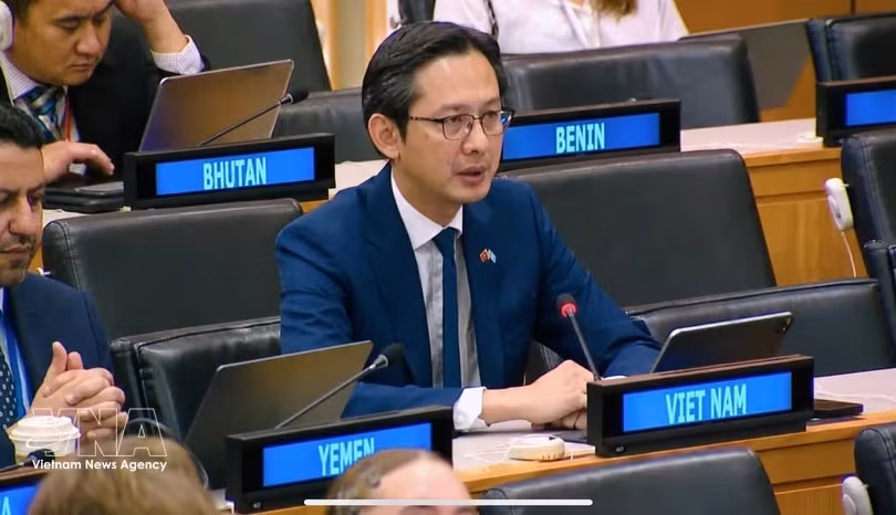 越南常驻联合国代表团团长杜雄越大使。图自越通社