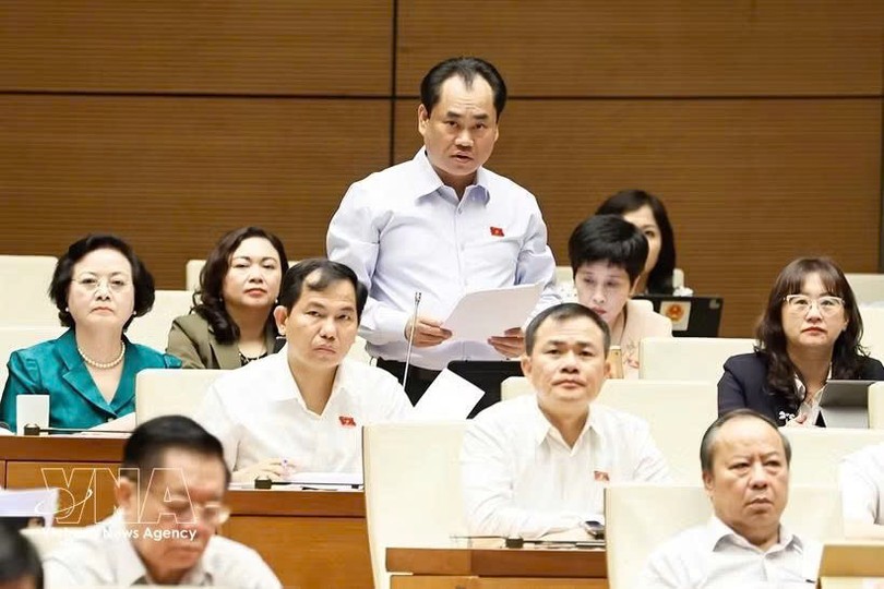 第十六届国会第二次会议：农业与环境部长就防灾减灾和生物技术发展作说明报告。图自越通社