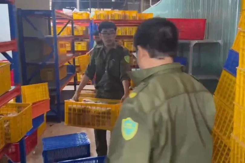 Bắt 2 vợ chồng chủ "shop online", thu 11.000 đôi dép giả