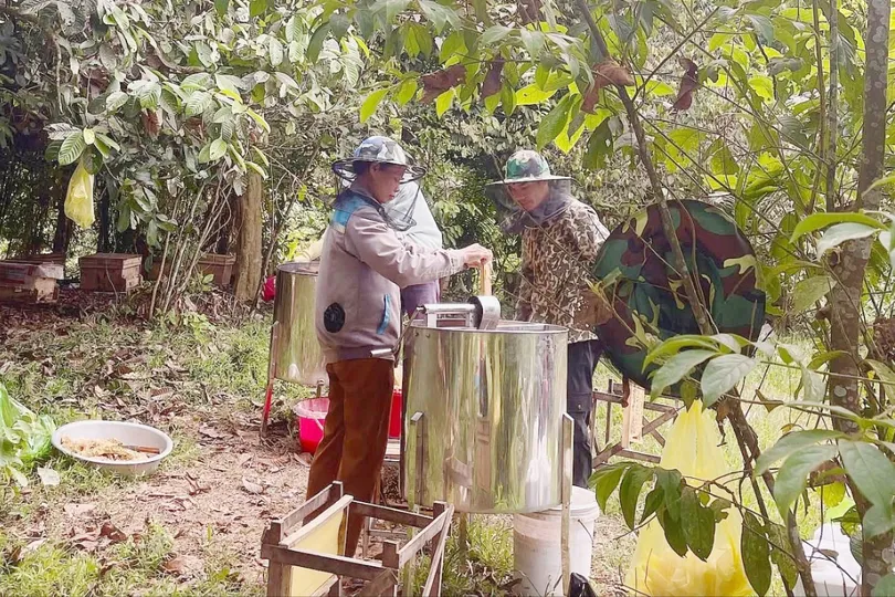 Làm giàu ở “Vườn rừng Bản Thổ” 