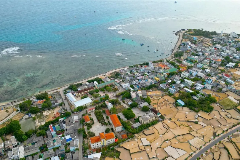 Giữ màu xanh “đảo tỏi”
