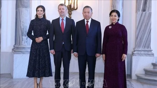 Tổng Bí thư, Chủ tịch nước Tô Lâm hội kiến Nhà vua Đan Mạch Frederik X