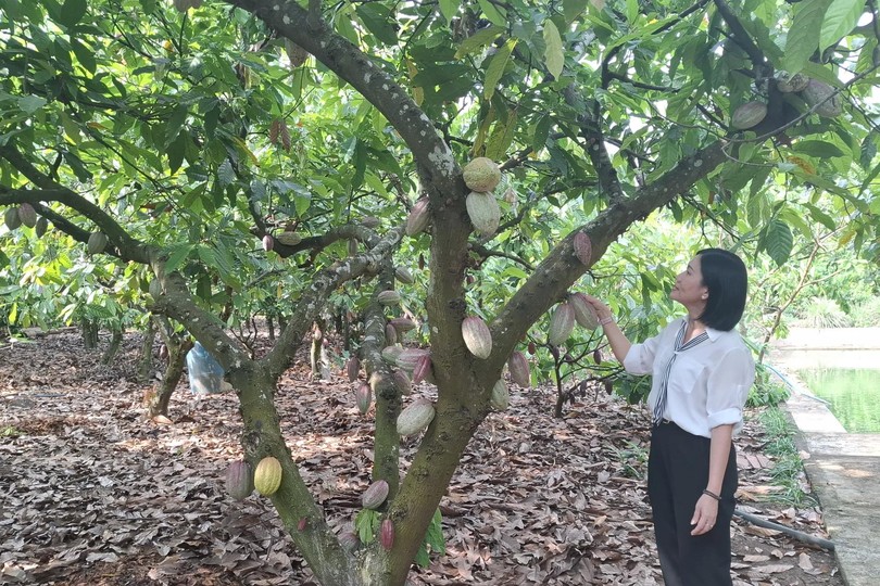 Woman revives cacao industry through organic farming, sustainable innovation