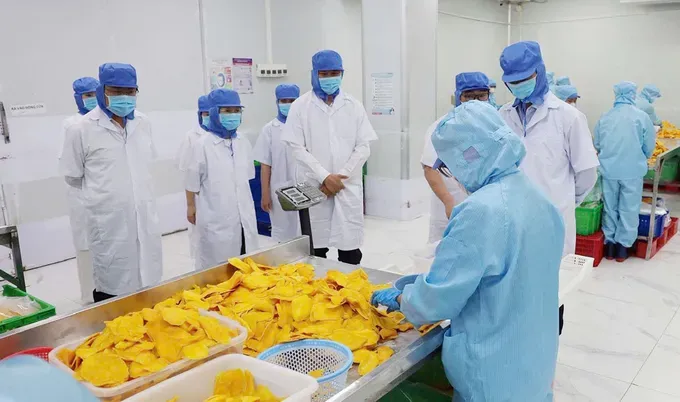 Food industry urged to shift from raw exports to value chain leadership