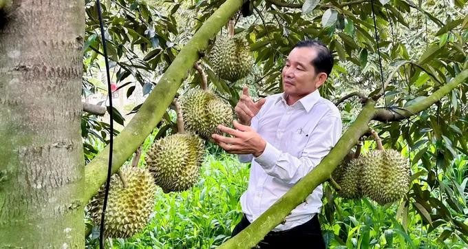 Farmers in HCMC boost yields with technology to earn billions of Vietnamese dong