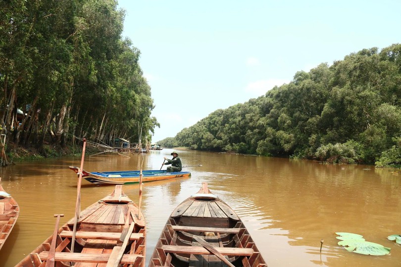 Rangers trade holidays for vigil in Dong Thap forests