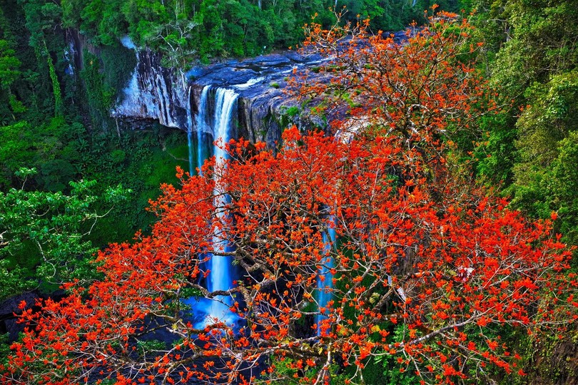 Hang En waterfall draws visitors with blooming silk cotton trees