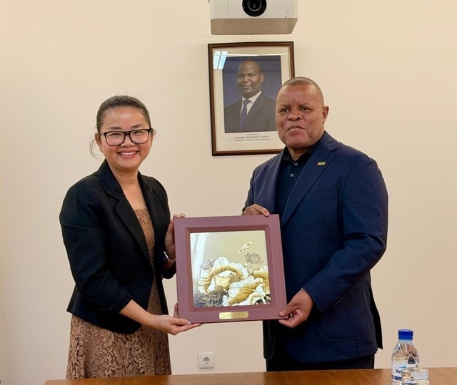Mozambique considers Vietnam strategic partner in agricultural cooperation