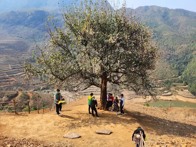 Vietnamese travelers find greatest joy in family trips