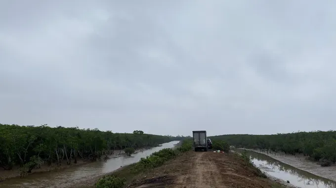 Cold air lowers Northern region temperatures by 5–10 degrees Celsius