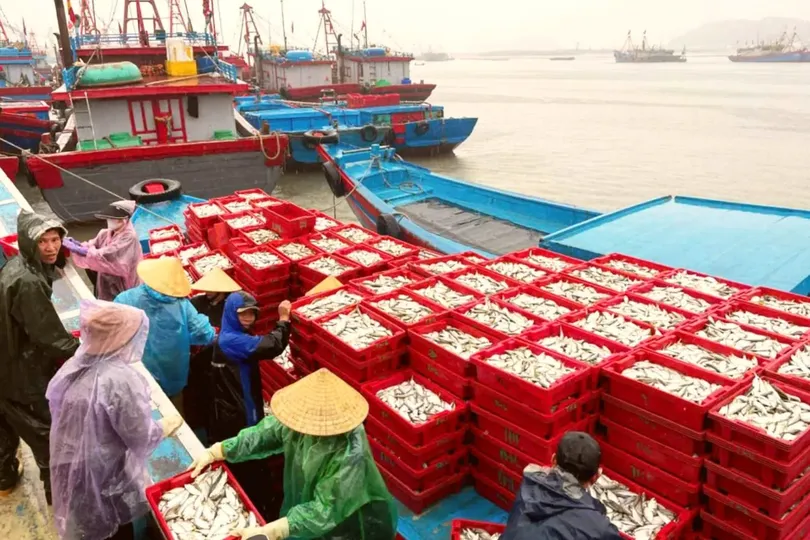 Fishermen brave challenges, come back with bountiful catches