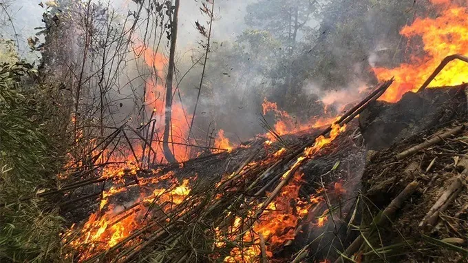 Numerous localities suffer from severe heatwave with rising forest fire risks