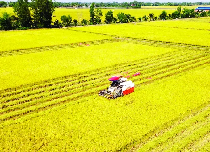 Vietnamese agricultural products gain greater access to Chinese market