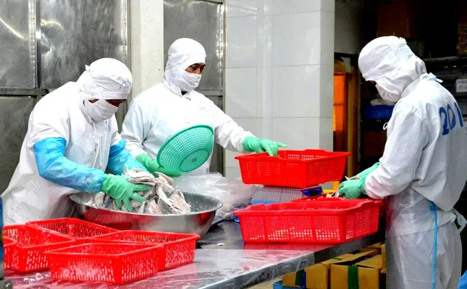 Vietnam’s seafood exports surpass US$12 billion annually