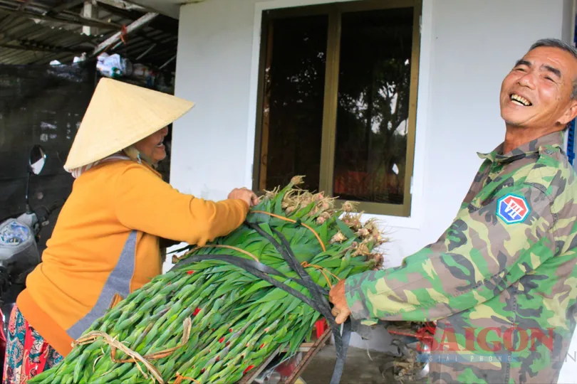Nông dân Quảng Ngãi được mùa hoa lay ơn