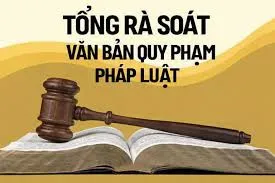 Thành lập các tổ công tác tổng rà soát văn bản quy phạm pháp luật