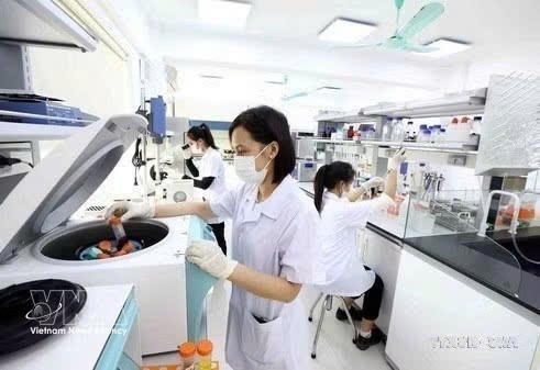 胡志明市力争成为科技与创新创意中心