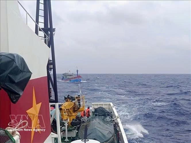 KN 462号船将BĐ-98387-TS号渔船（嘉莱省）及9名渔民拖带回西礁岛避风港。图：越通社发