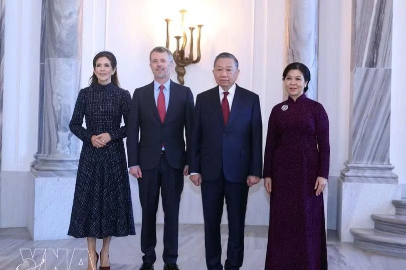 越南党中央总书记、国家主席苏林及夫人吴芳璃会见丹麦国王腓特烈十世和王后玛丽。图自越通社