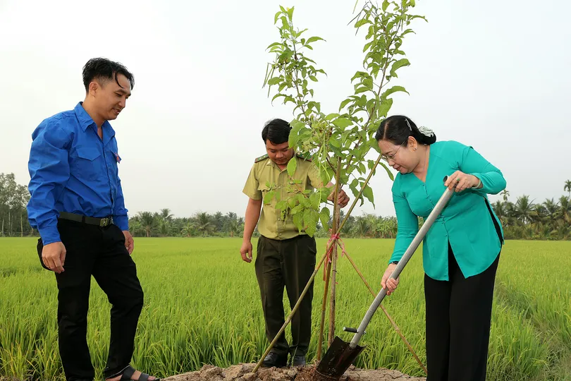 Cần Thơ phát động “Tết trồng cây”, Đồng Tháp rộn ràng thăm đồng đầu năm