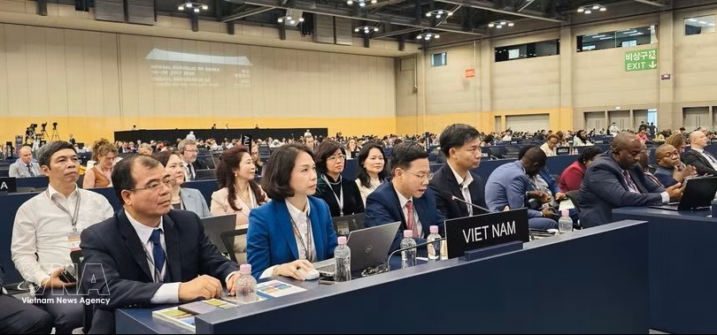 越南外交部副部长吴黎文出席第48届联合国教科文组织世界遗产委员会会议。图：越通社