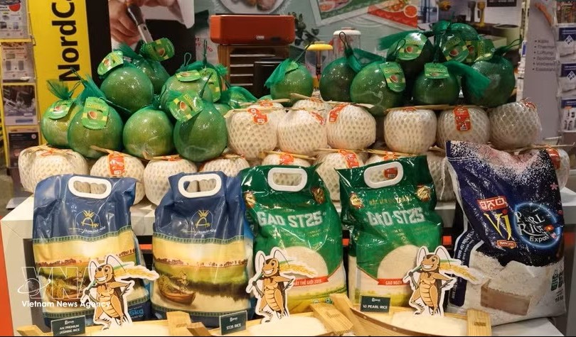 ST25大米是Selgros越南商品周上的核心商品。图：越通社