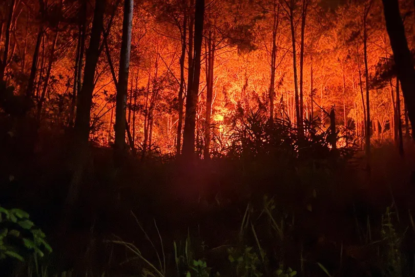 Lâm Đồng: Khống chế đám cháy rừng xảy ra giữa đêm