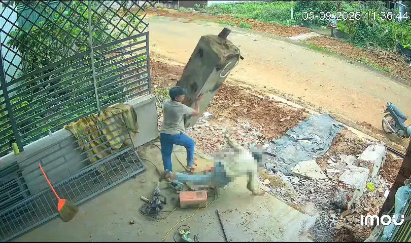 Hiện trường vụ việc