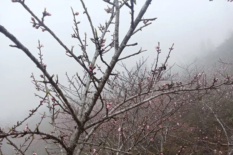 Không khí lạnh đã ảnh hưởng đến Bắc bộ trong dịp Tết Bính Ngọ 2026