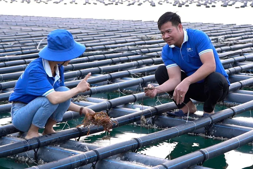Hơn 1.200 hồ sơ giao, sử dụng khu vực biển được cập nhật trên hệ thống quốc gia