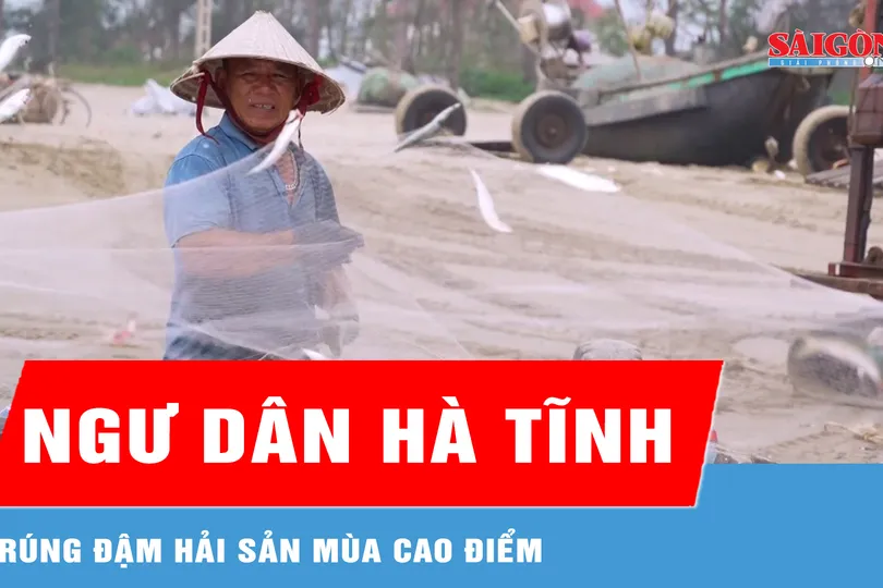 Ngư dân Hà Tĩnh trúng đậm hải sản mùa cao điểm