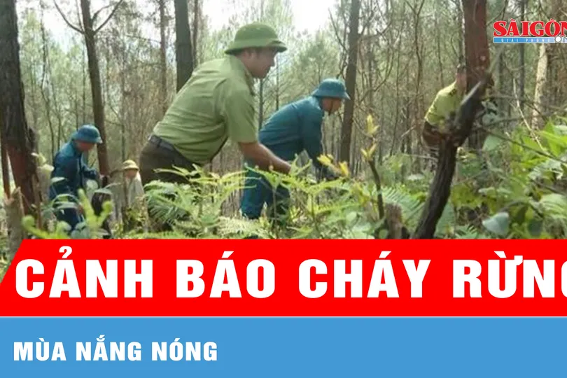 Cảnh báo cháy rừng mùa nắng nóng