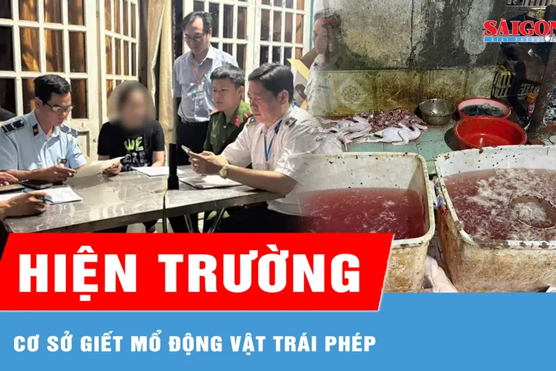 Đột kích các lò giết mổ động vật trái phép ở TPHCM
