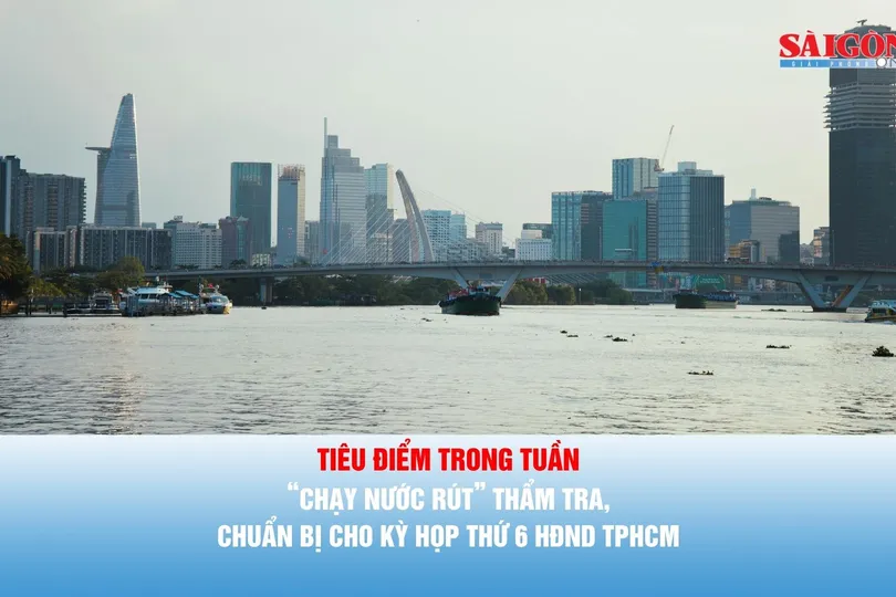 Tiêu điểm trong tuần: “Chạy nước rút” thẩm tra, chuẩn bị cho Kỳ họp thứ 6 HĐND TPHCM