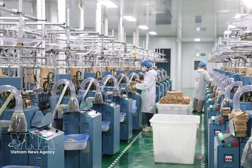 前7个月越南经济保持增长势头迈向两位数目标。