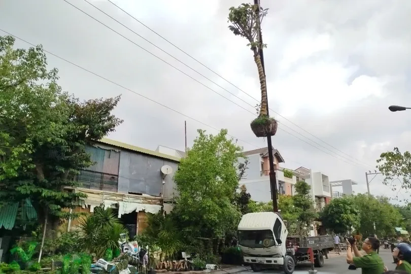 Hiện trường vụ việc