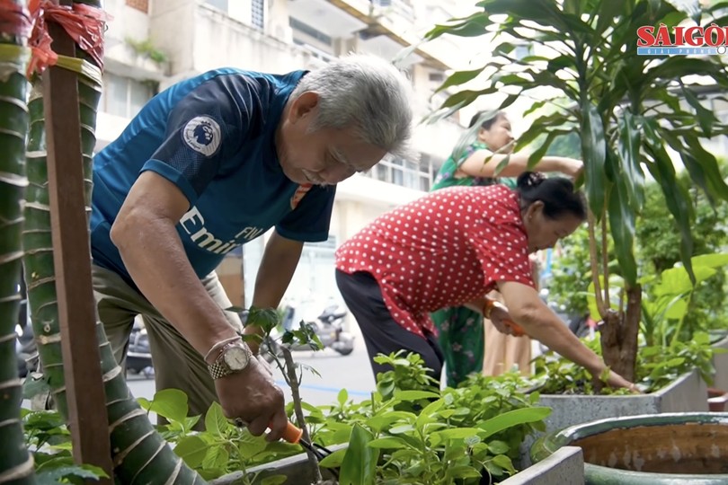 Residents unite to turn alleyways into green, blooming space in Ho Chi Minh City