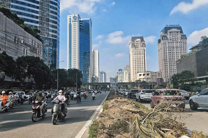 Nhiều cây xanh trên đường Dương Đình Nghệ, đoạn trước tòa nhà Keangnam Landmark 72, được di dời để phục vụ dự án. Ảnh: TIẾN CƯỜNG