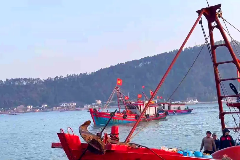 Cửa biển Cửa Lò (Nghệ An) tấp nập các tàu thuyền ra vào hàng ngày