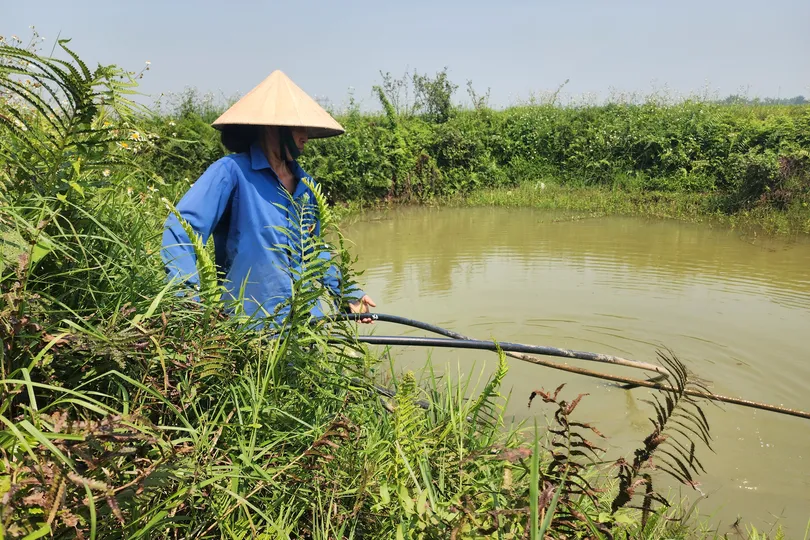 Chị Nguyễn Thị Thủy phải bơm nước hồ về sử dụng