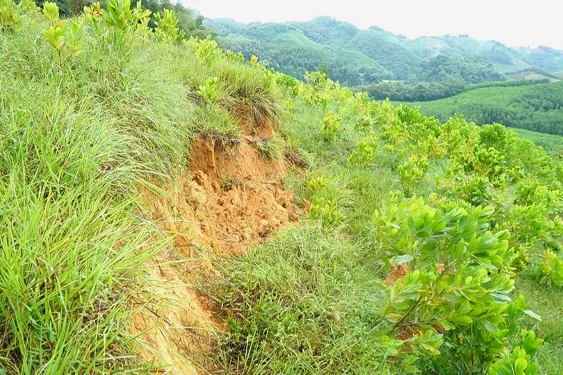 Thanh Hóa: Xuất hiện vết nứt trên đồi, sơ tán khẩn cấp 14 hộ dân