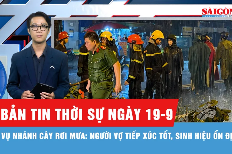 Bản tin thời sự ngày 19-9: Cập nhật vụ cây gãy đổ trong cơn mưa tại TPHCM
