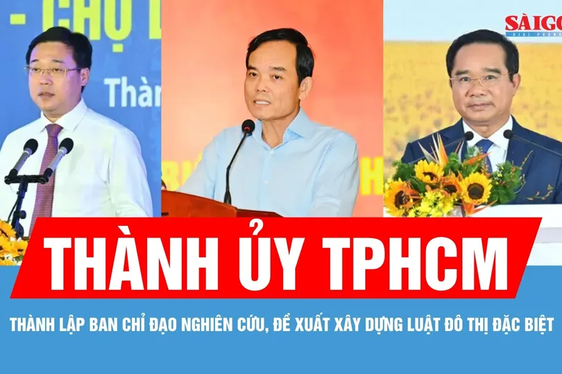 Thành ủy TPHCM thành lập Ban Chỉ đạo nghiên cứu, đề xuất xây dựng Luật Đô thị đặc biệt